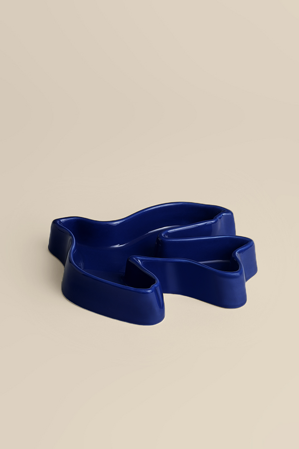 Vide poche colombe marine