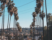 Une journée à Los Angeles - Tresse Paris