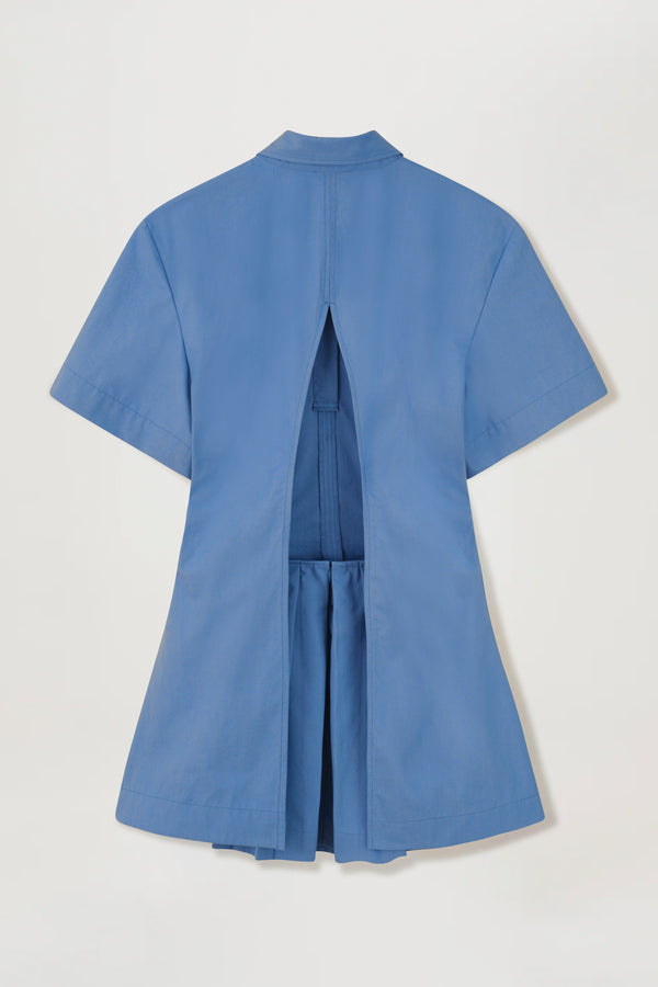 Pleated Backless Dress