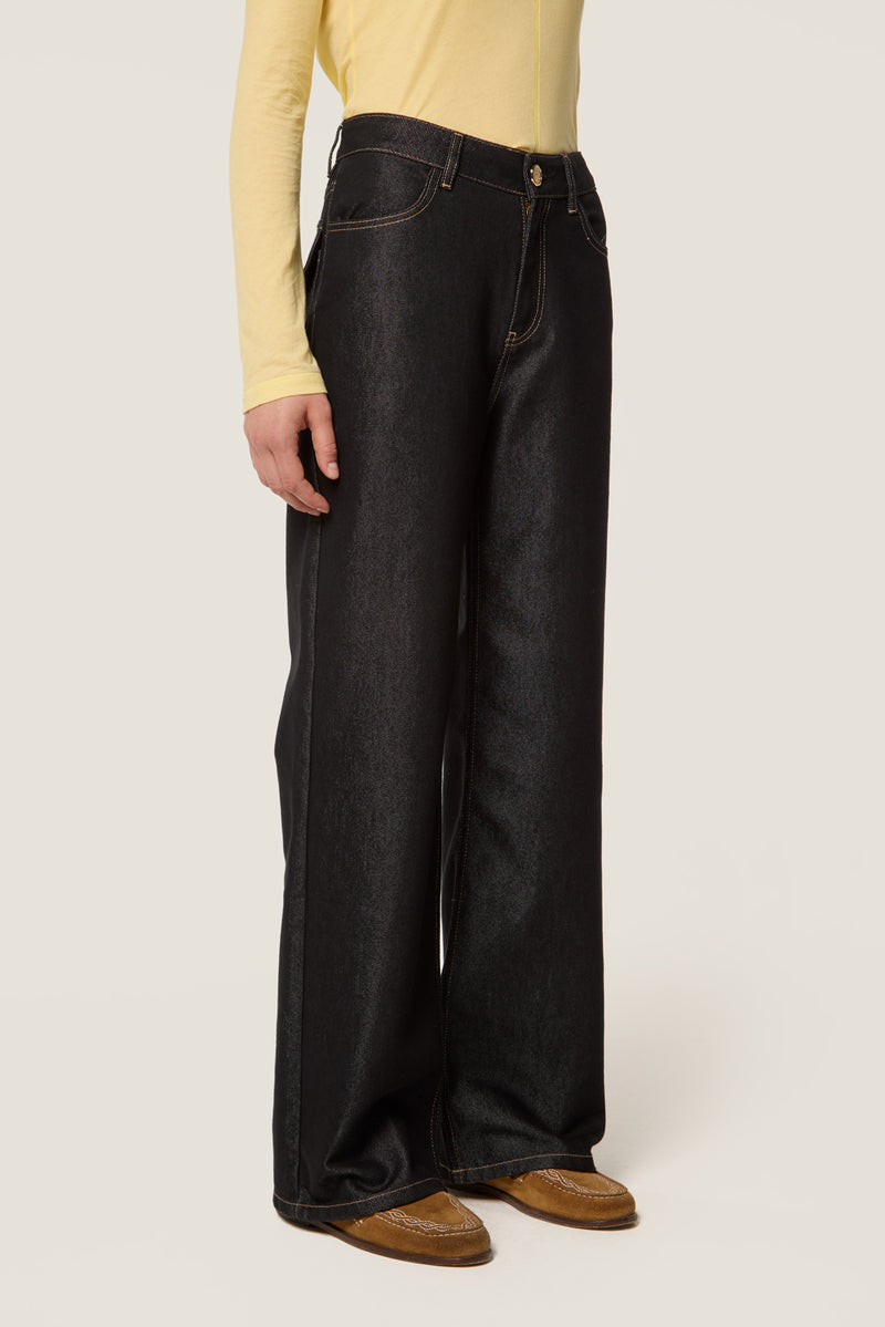 Shiny canvas denim